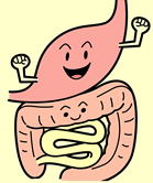 消化酵素サプリメントで便秘の改善・解毒作用の増大