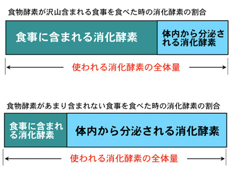 食物酵素の有無で変わる消化酵素の分泌